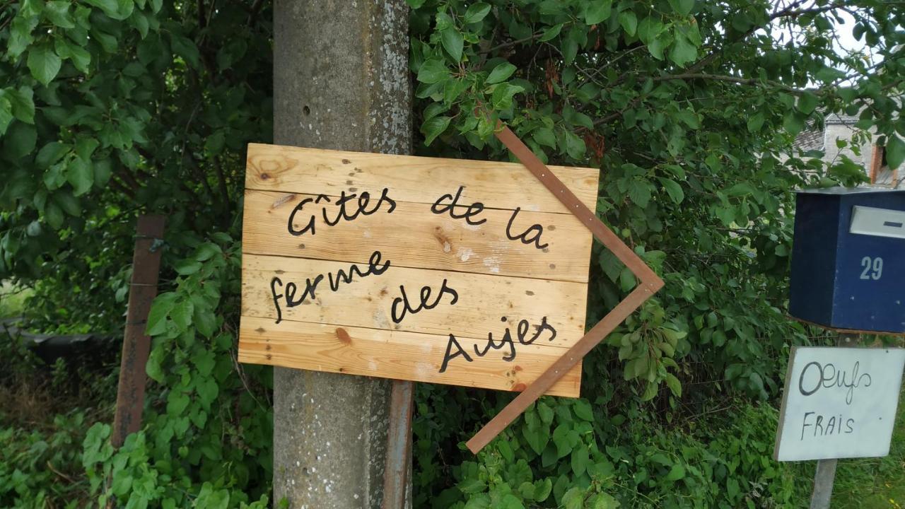 Gite Familial Ferme Des Aujes Falaen Onhaye Dış mekan fotoğraf