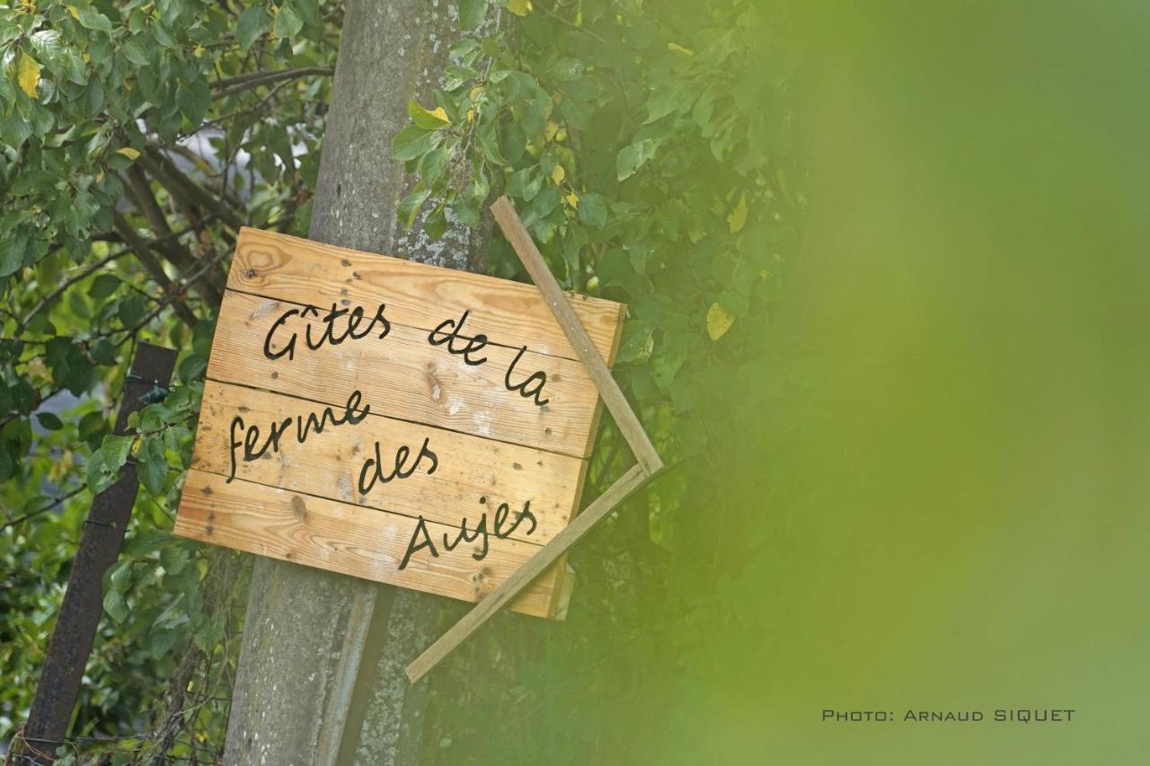 Gite Familial Ferme Des Aujes Falaen Onhaye Dış mekan fotoğraf
