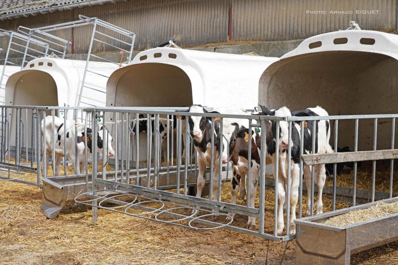 Gite Familial Ferme Des Aujes Falaen Onhaye Dış mekan fotoğraf